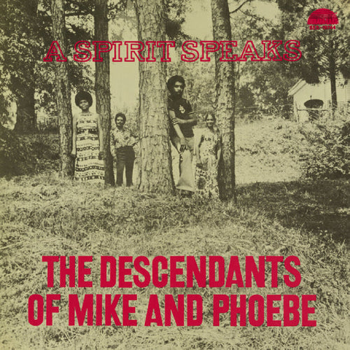 the album cover for Bill Lee - The Descendants Of Mike And Phoebe: A Spirit [RSD Black Friday 2025]