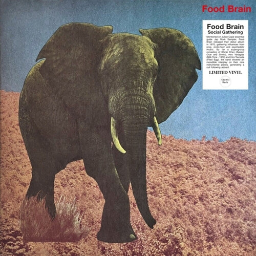 the album cover for Food Brain - Social Gathering
