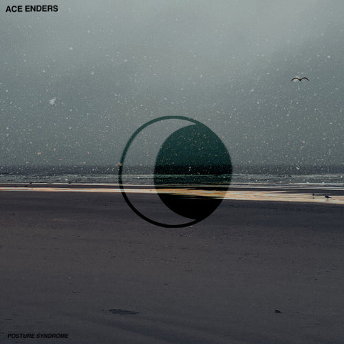 the album cover for Ace Enders - Posture Syndrome