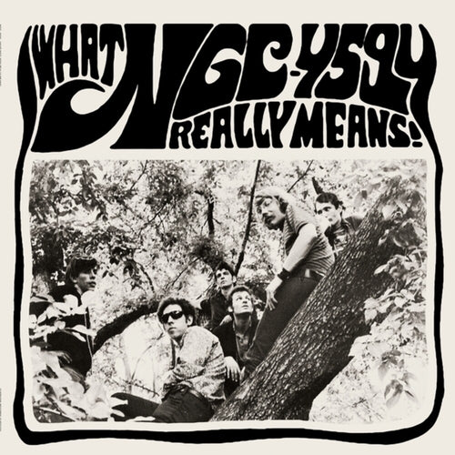 the album cover for Ngc-4594 - What Ngc-4594 Really Means