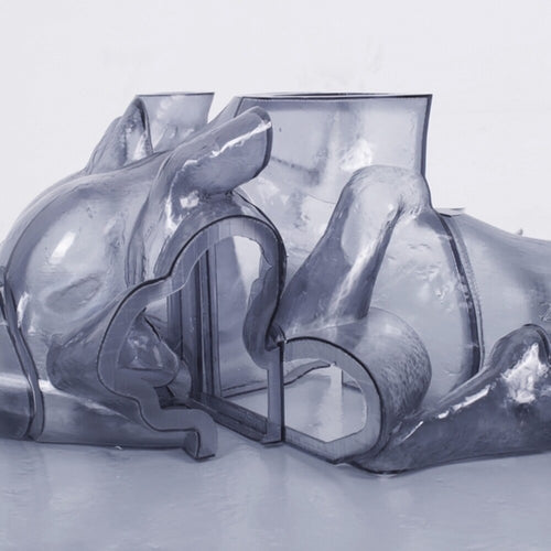 the album cover for Carrier - Rhythm Immortal