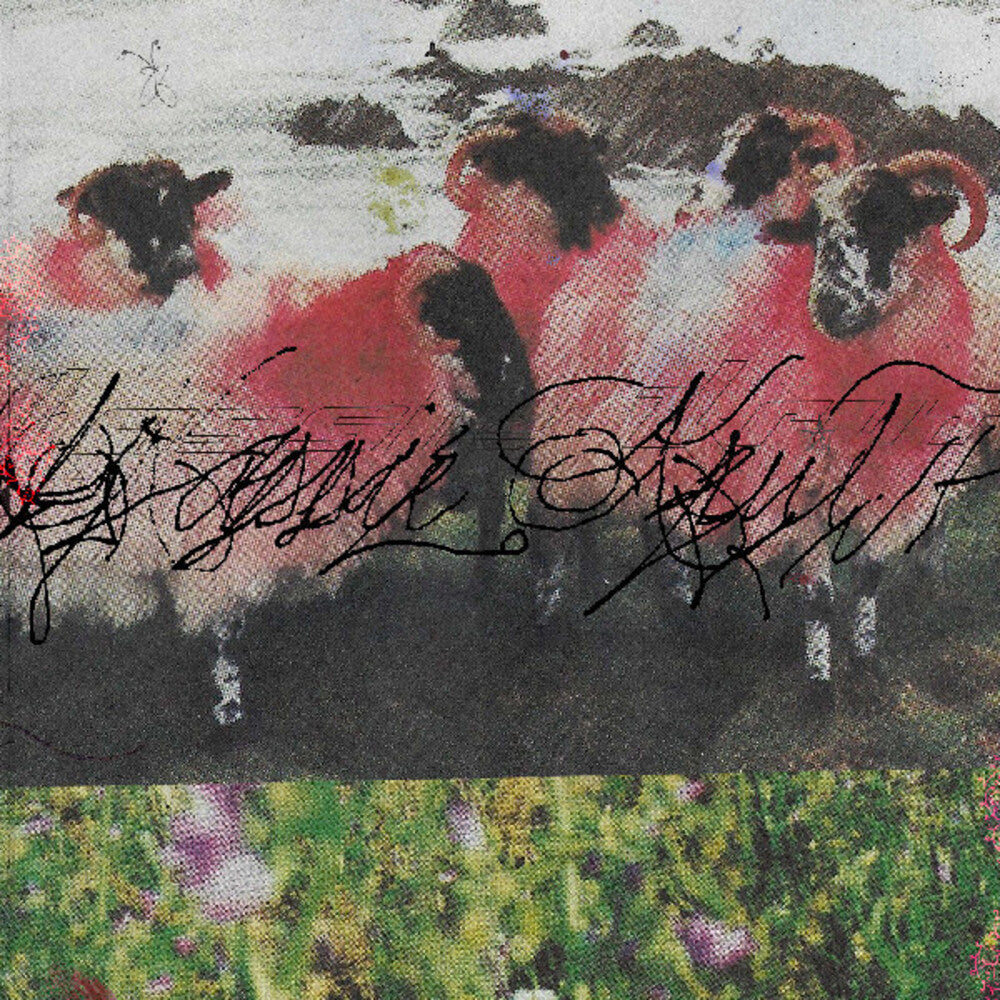 the album cover for Kassie Krut - Kassie Krut