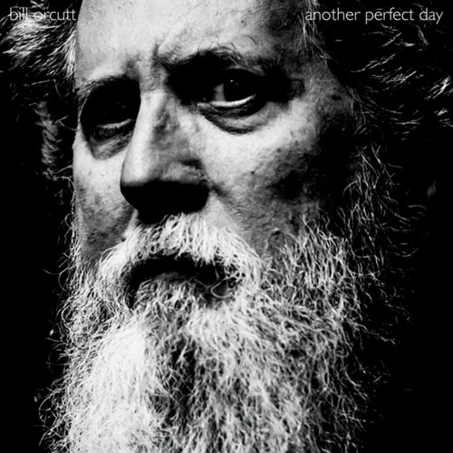 the album cover for Bill Orcutt - Another Perfect Day