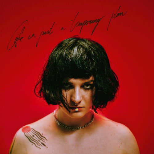 the album cover for Abbie Falls - Life Is Just A Temporary Plan