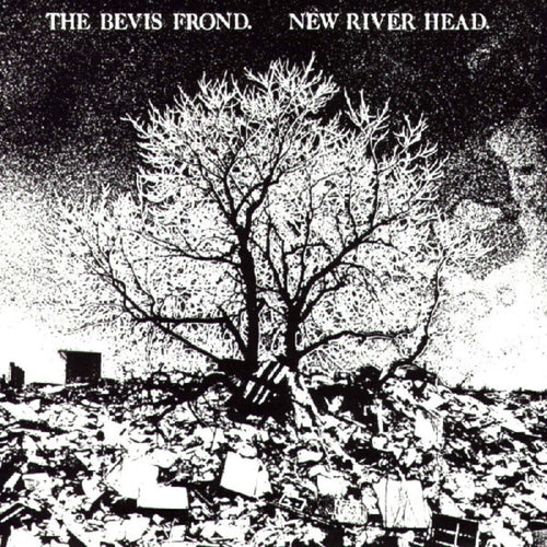 the album cover for The Bevis Frond - New River Head (Gate) [Download Included]