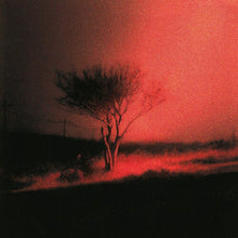 Joji * Piss In The Wind [Black Vinyl + Poster]