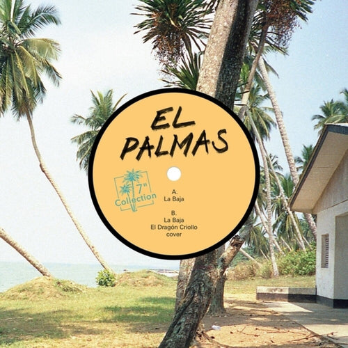 the album cover for El Palmas - Baja (Ep)