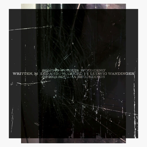 the album cover for Sanguis - Wounding