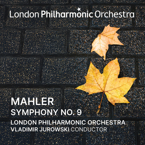 the album cover for London Philharmonic Orchestra / Vladimir Jurowski - Vladimir Jurowski Conducts Mahler Symphony No. 9
