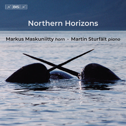 the album cover for Markus Maskuniitty - Northern Horizons