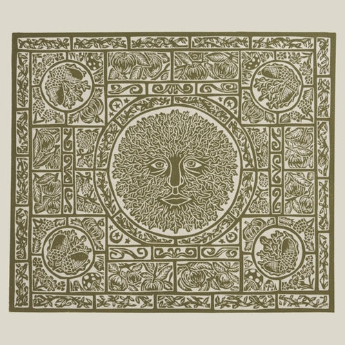 the album cover for Fuzzy Lights - Fen Creatures