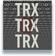 the album cover for Various Artists - Toolroom Trax Sampler Vol. 4