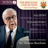 the album cover for Royal Philharmonic Orchestra / Sir Thomas Beecham - Beecham Collection - Salzedo: Witch Boy / Tchaikovsky: Symphony No. 3 / Delius: by the River / Grieg
