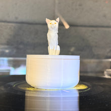 CC the Shop Cat Record Weight