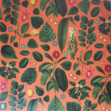 Kings Kaleidoscope : Becoming Who We Are (2xLP, Album, 180)