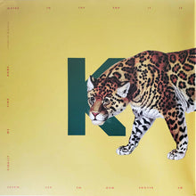 Kings Kaleidoscope : Becoming Who We Are (2xLP, Album, 180)
