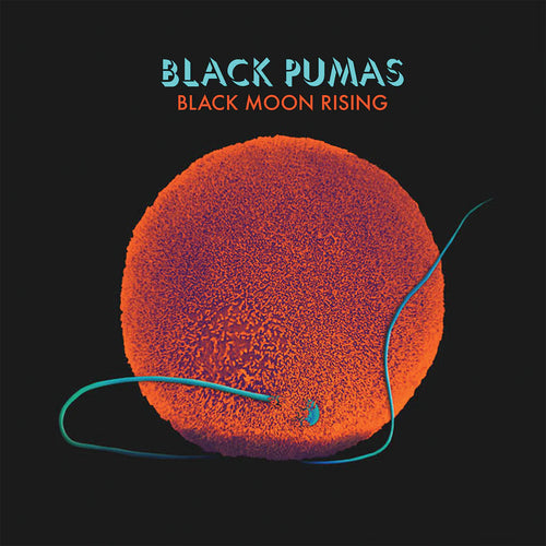 Black Pumas * Black Moon Rising [Used 7 inch]