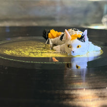 CC the Shop Cat Spin Fig