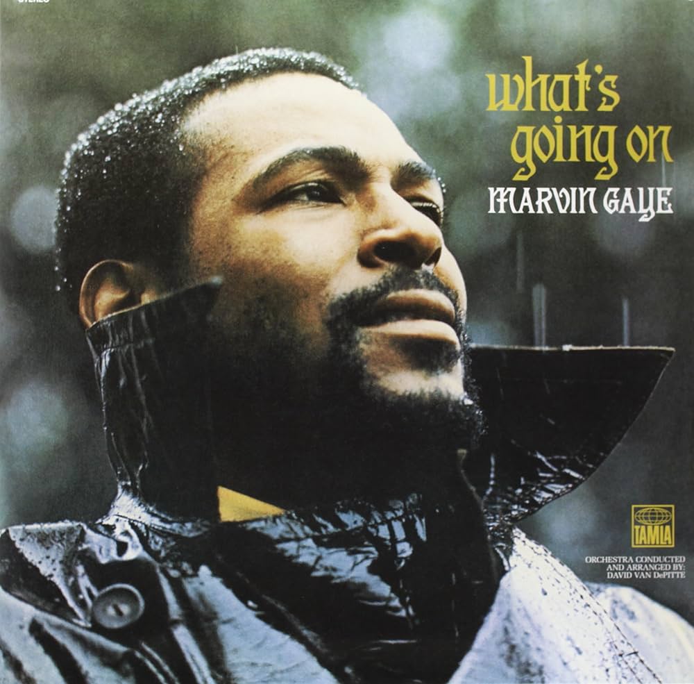 Marvin Gaye * What's Going On [Used 180 G Vinyl Record LP]