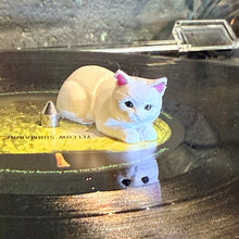 White Cat Spin Figs