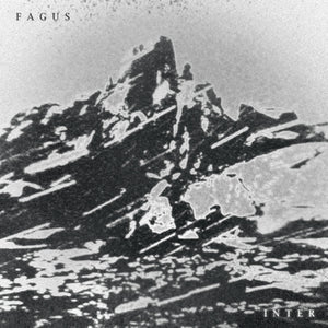 Fagus * Inter [New CD]