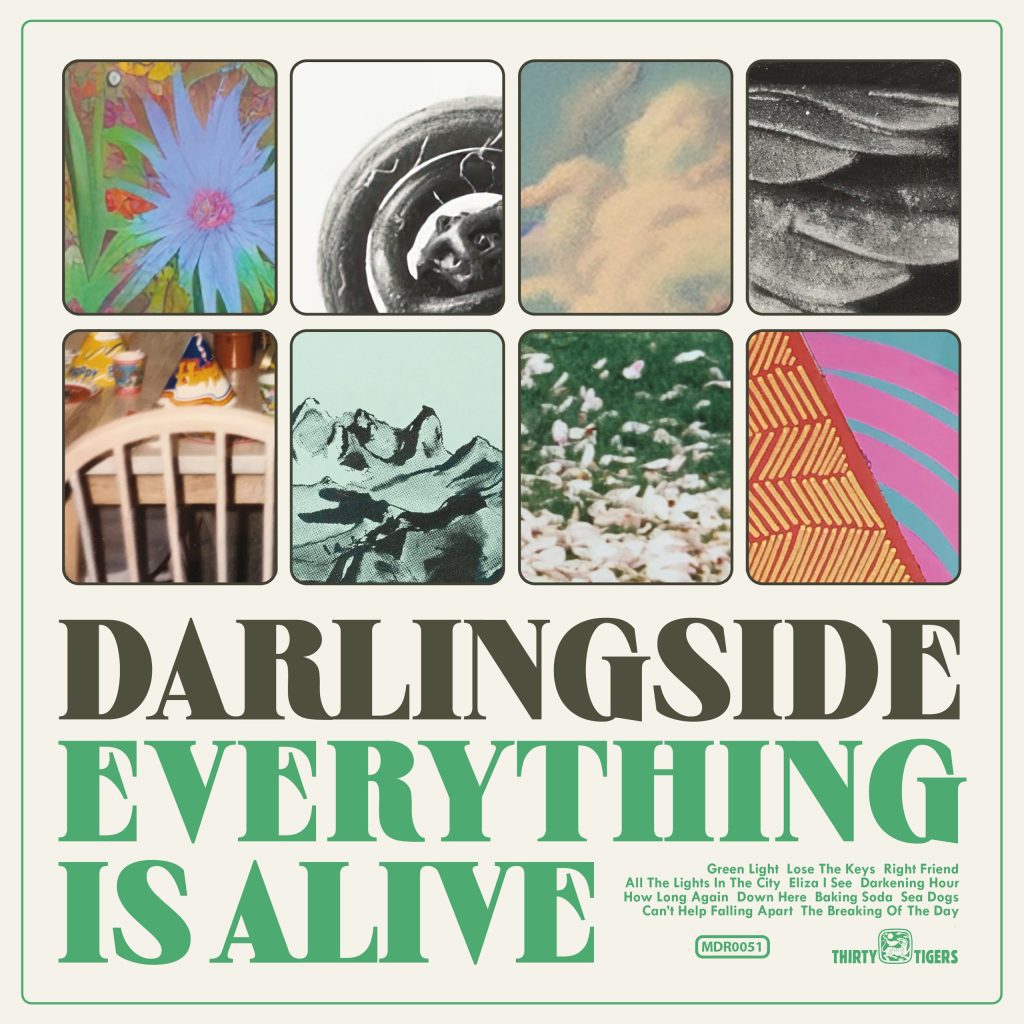 Darlingside * Everything Is Alive [New CD]