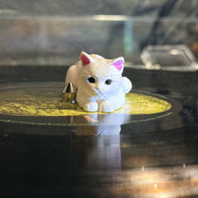 White Cat Spin Figs