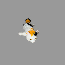 CC the Shop Cat Spin Fig