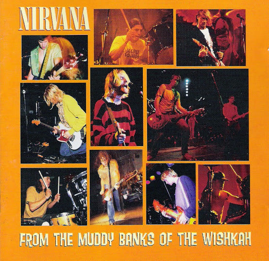 Nirvana* From The Muddy Banks Of The Wishkah [Used CD]