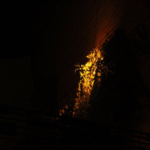 KRYGE * Vestigial Shadow [Used Cassette 2019]