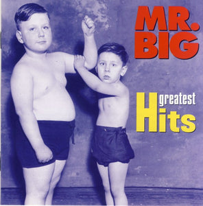 Mr. Big * Greatest Hits [2004 CD]