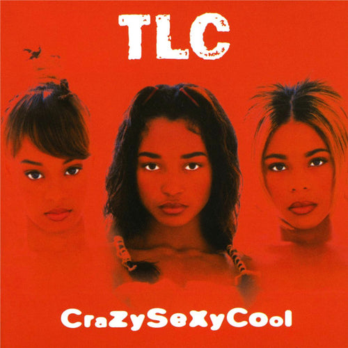 TLC * CrazySexyCool [Used 2 LP]