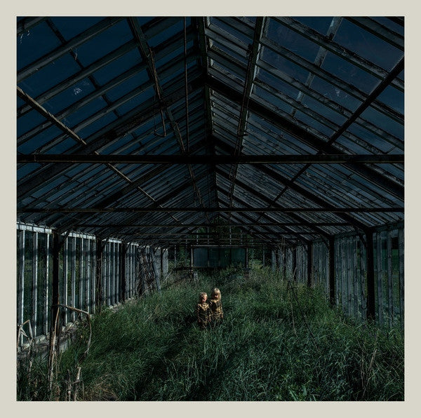 Foxing * Dealer [Used LP]