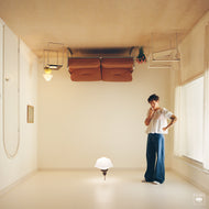 Harry's House album cover art - Vinyl & CDs at Curious Collections Record Store College Station