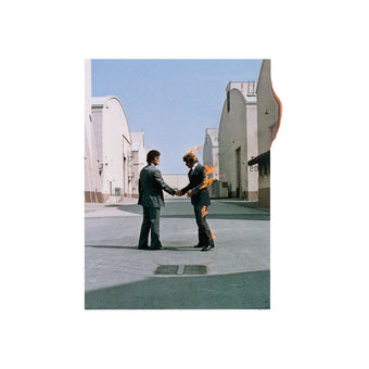 Pink Floyd * Wish You Were Here (Remastered) [180G Vinyl Record]