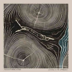 NEEDTOBREATHE * Rivers In The Wasteland [Vinyl Record LP]