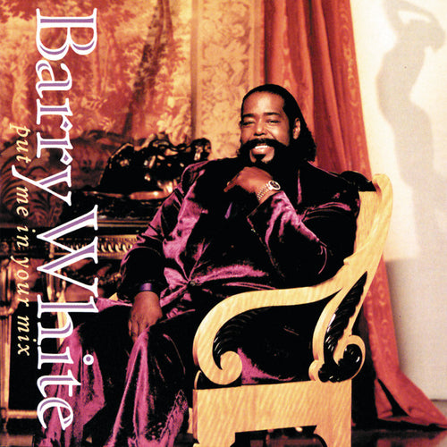 Barry White * Put Me In Your Mix [Used CD]