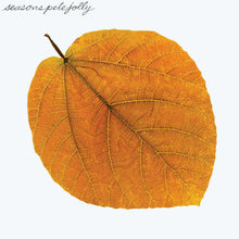 Pete Jolly * Seasons [Colored LP]