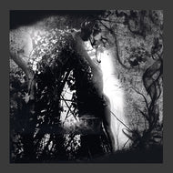 PISETZKY * Tears Of A Rough Machine - New Vinyl
