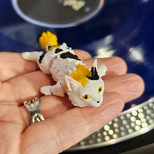 CC the Shop Cat Spin Fig