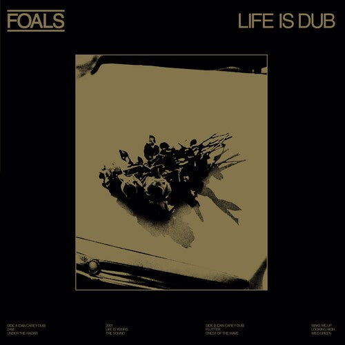 Foals * Life Is Dub [RSD23 Colored Vinyl Record LP]