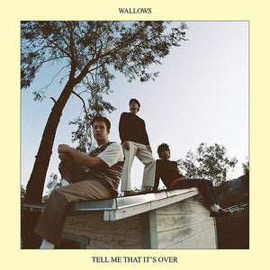 Wallows * Tell Me That It's Over [New LP]